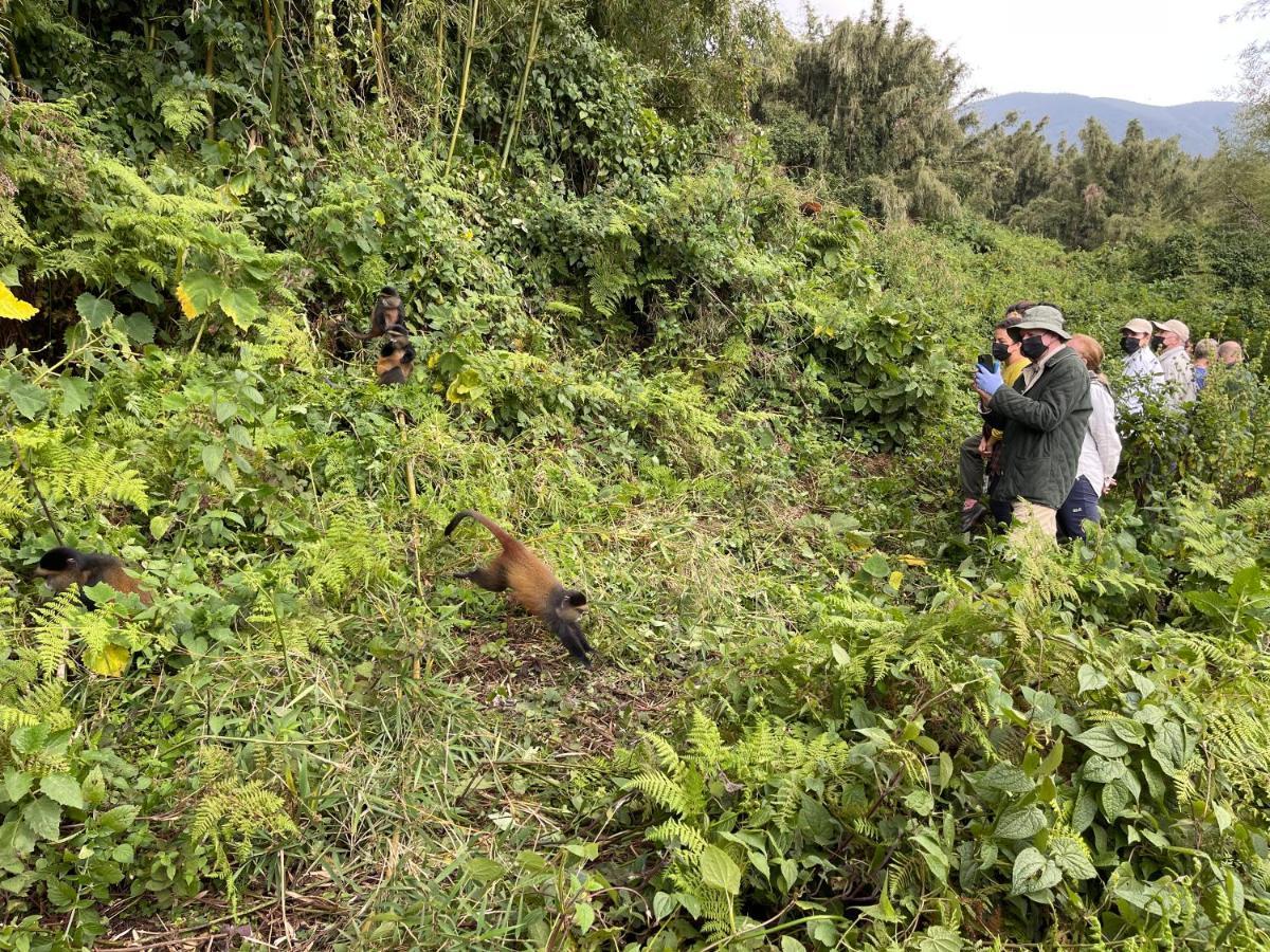 Virunga Homes ルヘンゲリ エクステリア 写真