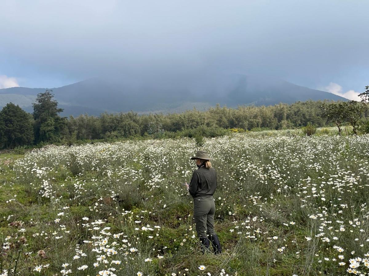 Virunga Homes ルヘンゲリ エクステリア 写真